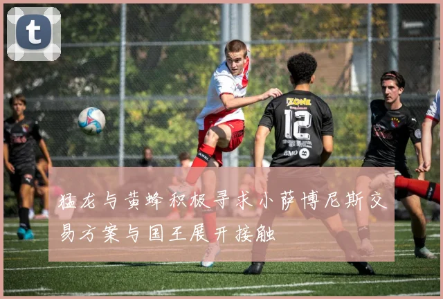 猛龙与黄蜂积极寻求小萨博尼斯交易方案与国王展开接触